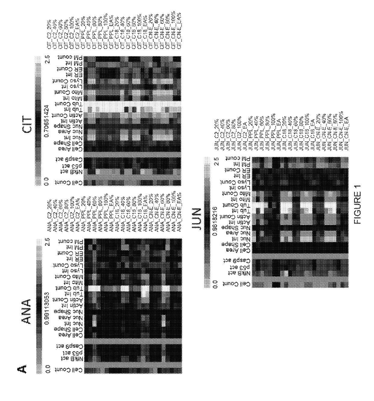 Extracts of saudi arabian herbal plants, Anti-cancer method using such extracts, and cytological profiling using automated high-content imaging technique