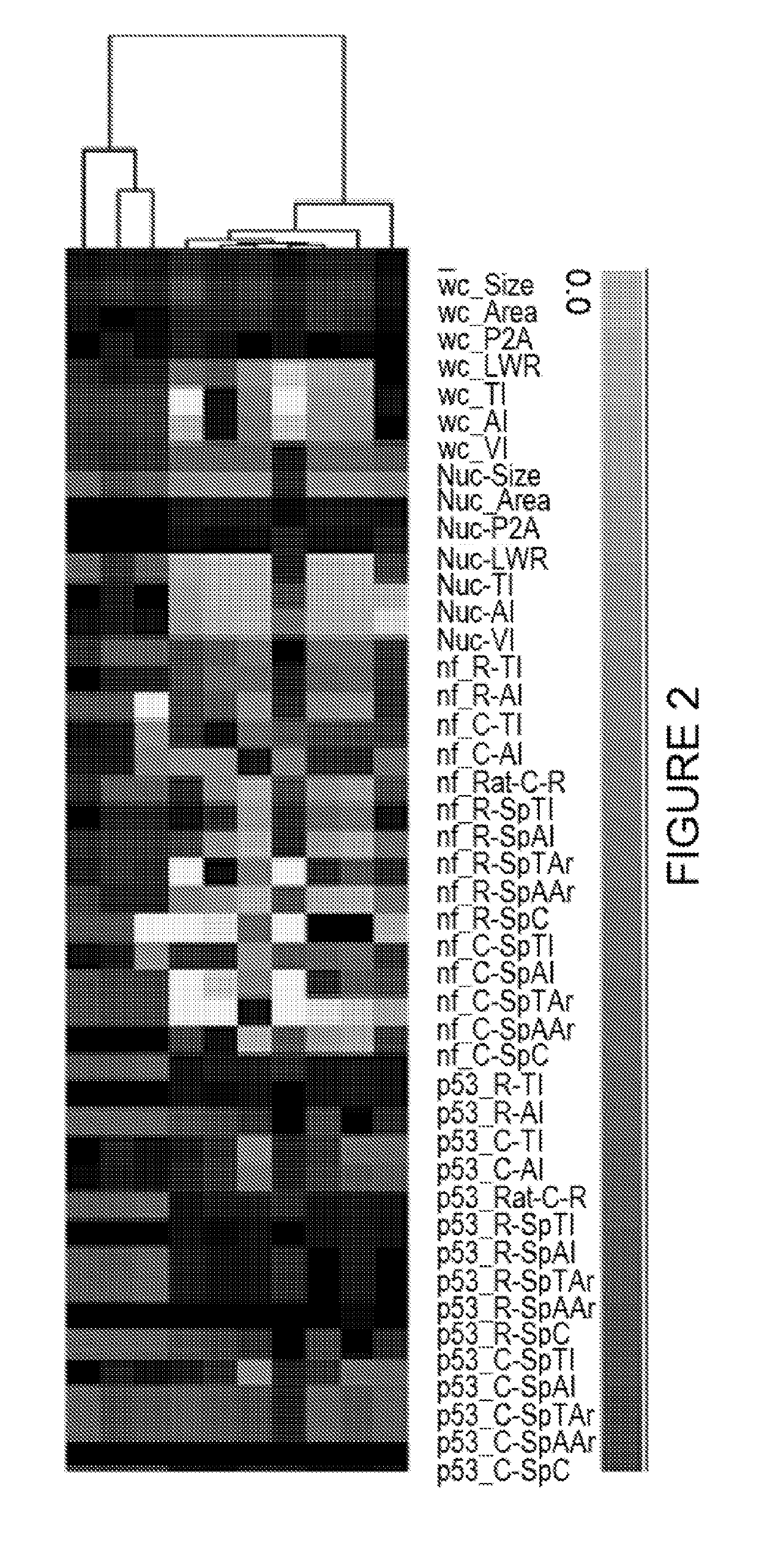 Extracts of saudi arabian herbal plants, Anti-cancer method using such extracts, and cytological profiling using automated high-content imaging technique