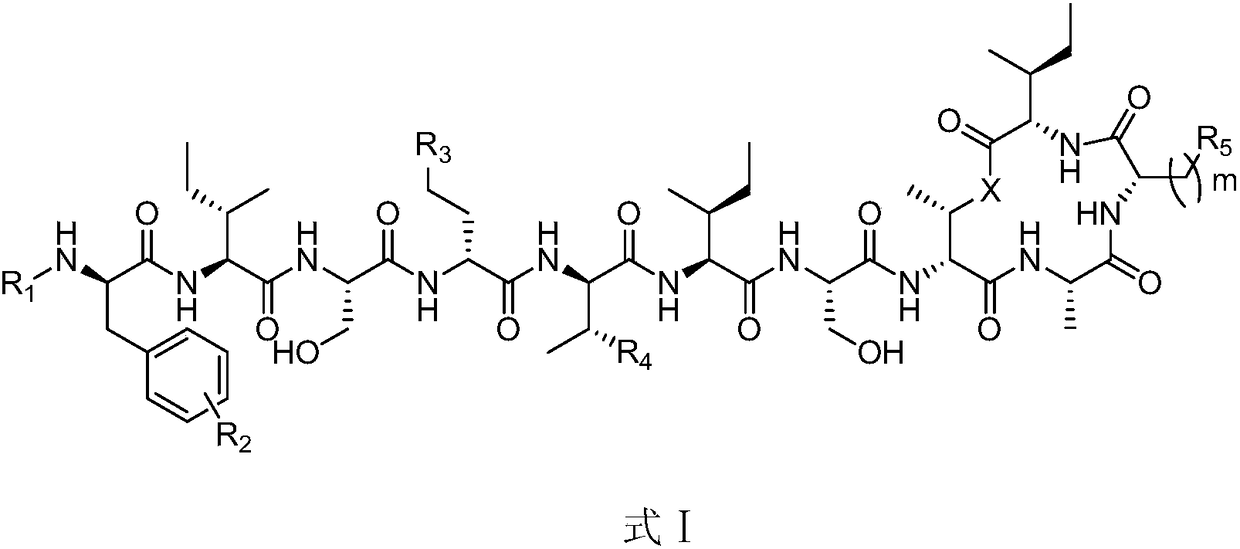 New antibiotics for treatment of drug-resistant gram-positive bacteria and tuberculosis