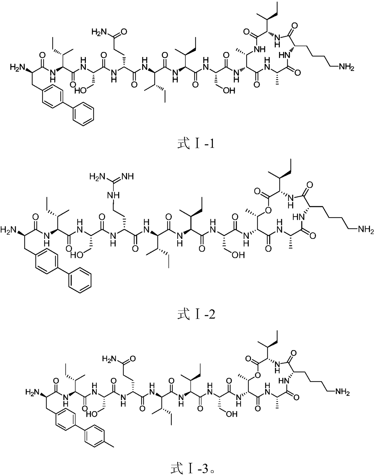 New antibiotics for treatment of drug-resistant gram-positive bacteria and tuberculosis