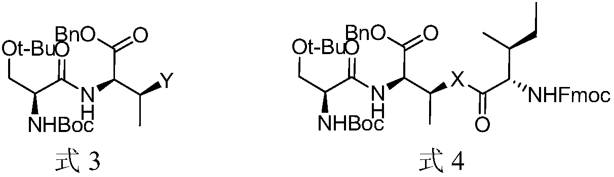 New antibiotics for treatment of drug-resistant gram-positive bacteria and tuberculosis