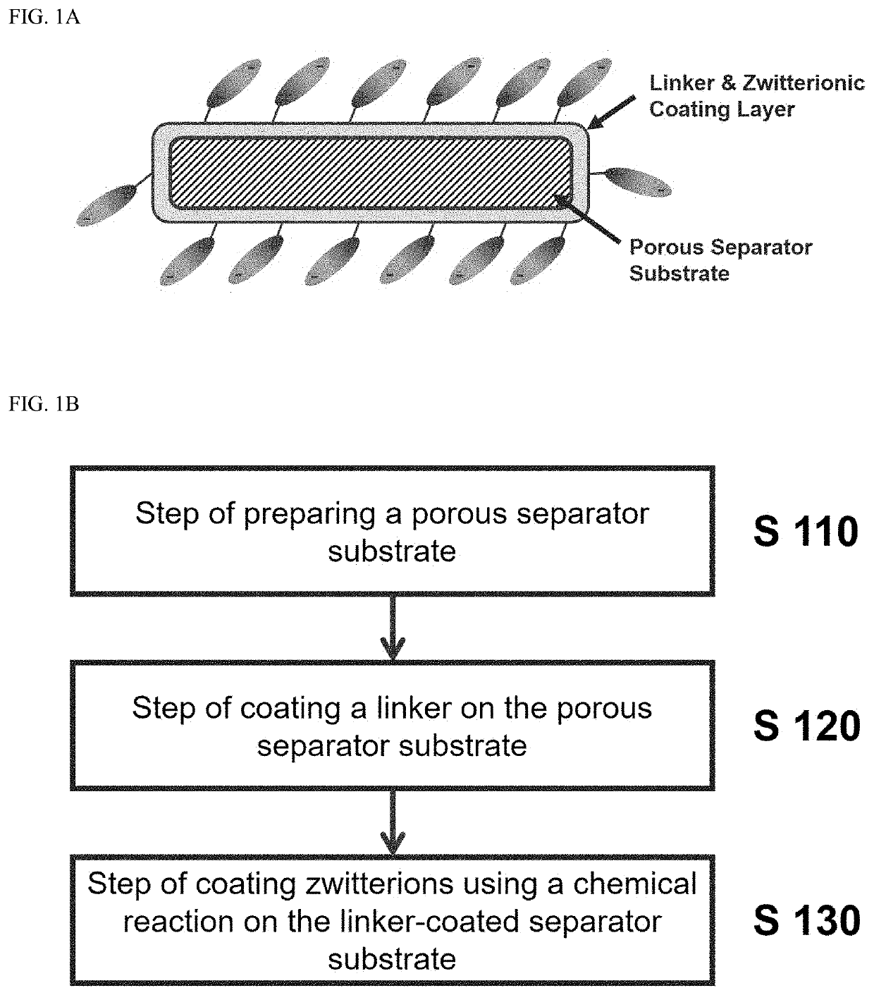 Functionalized separator having zwitterionic coating and method of fabricating thereof