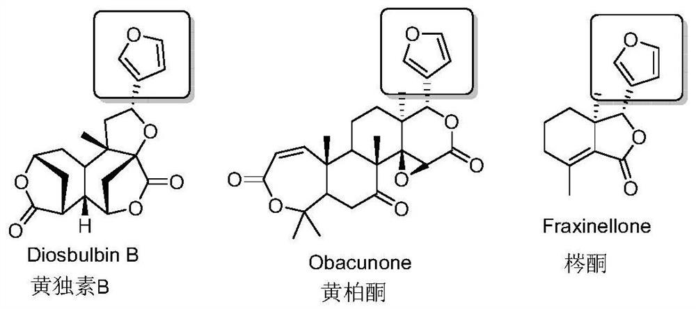 An improved low-toxic Zengsheng pharmaceutical composition and its preparation method and application