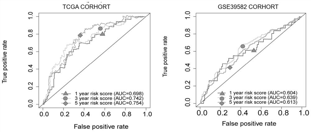 Colorectal cancer metabolic gene prognosis prediction model