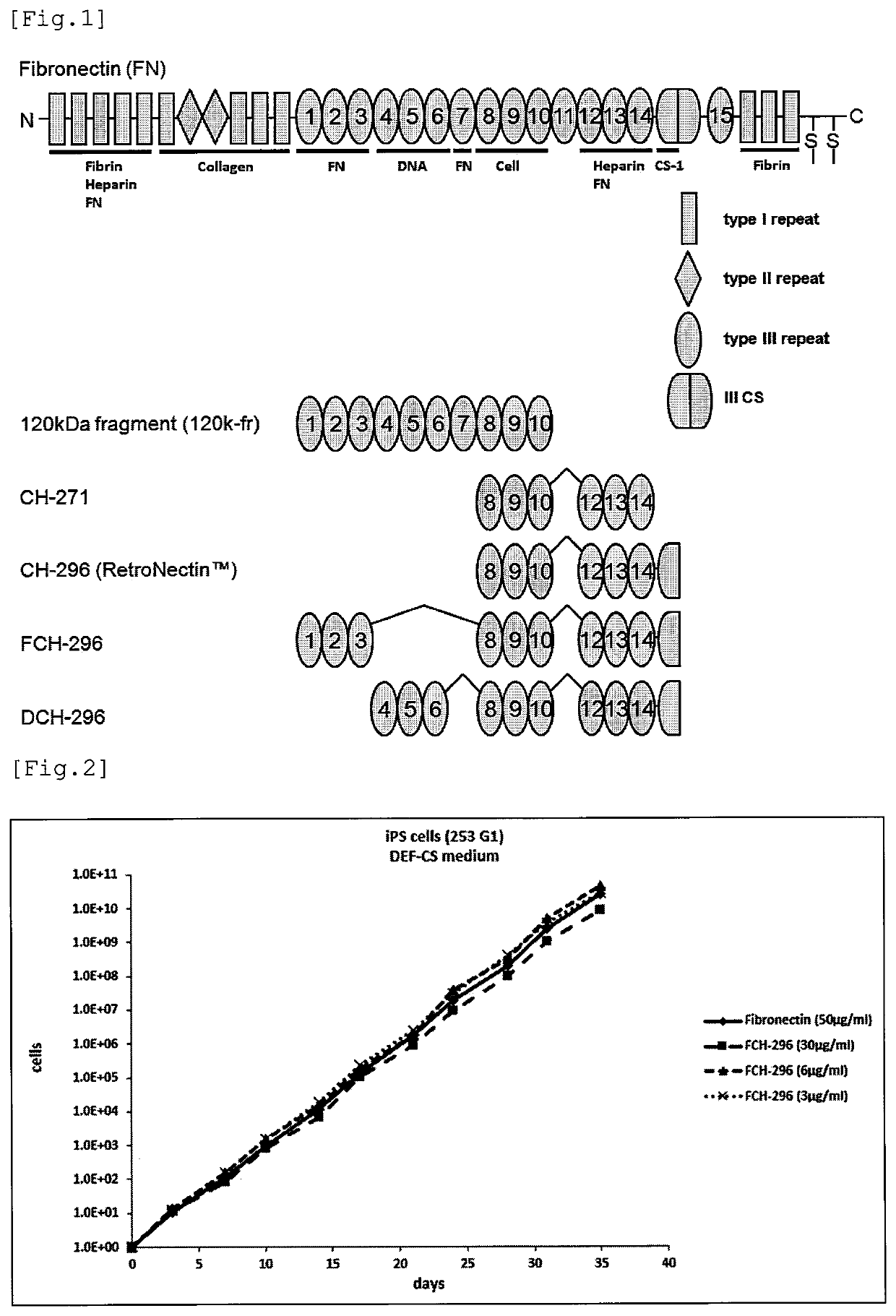 Fibronectin fragment to be used for stem cell production