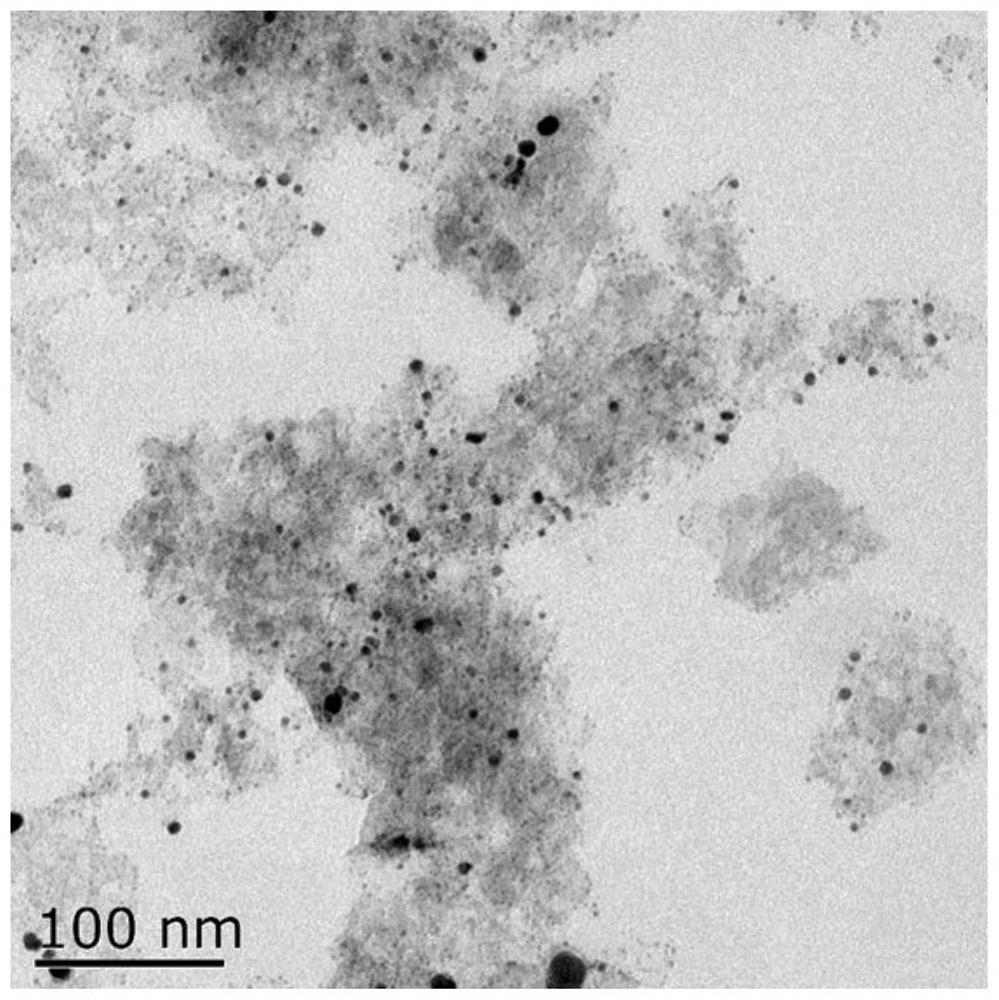 Preparation method and application of layered WS2/Au tumor cell membrane composite material