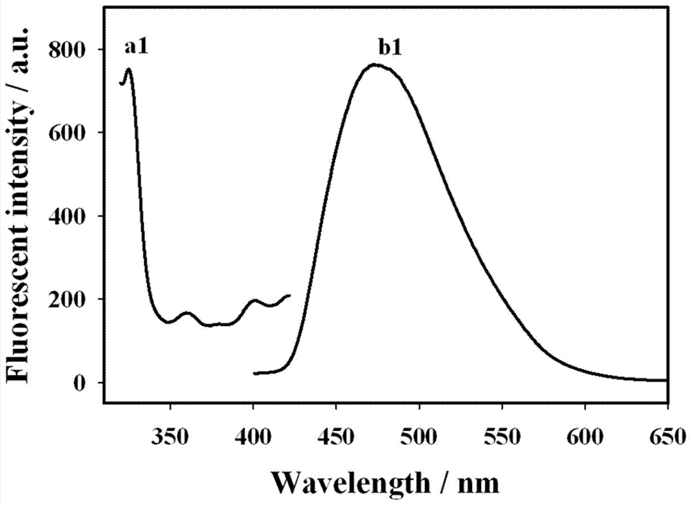 Fluorescent copper nano-particles for polyadenylic purine DNA template, as well as preparation method and application thereof