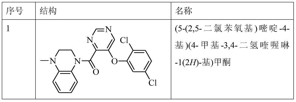 Heteroaryl amide derivative and use thereof as TGR5 agonist