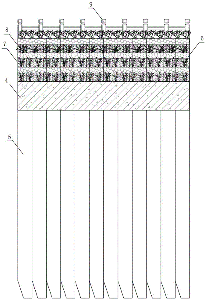 Reinforced concrete and gabion combined ecological flood control wall structure and construction method thereof