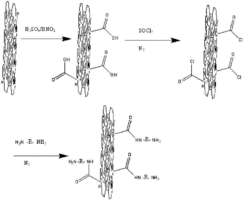Carbon nanotube/poly-Schiff base polymer and its preparation method and application