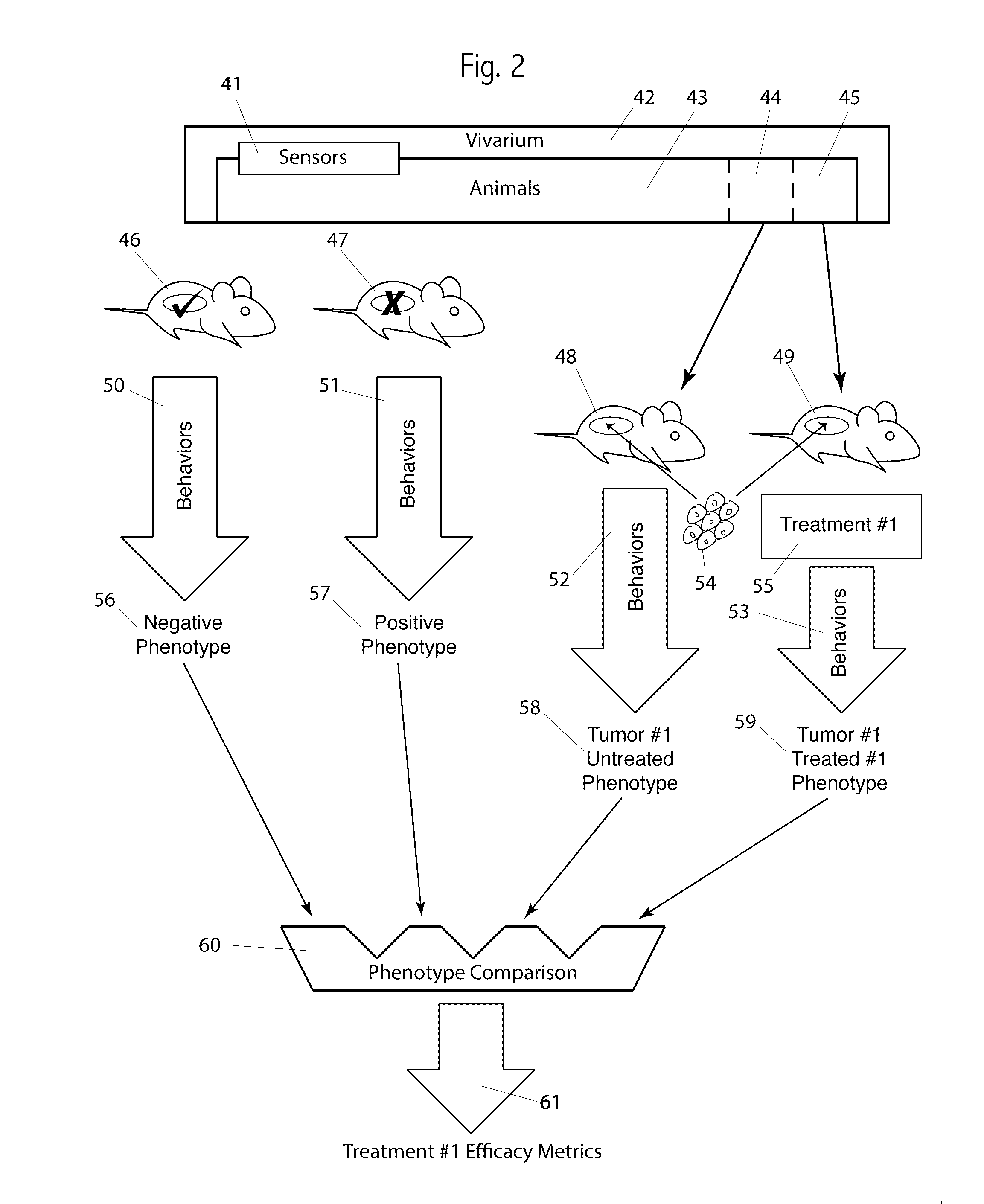 System and method of measuring efficacy of cancer therapeutics