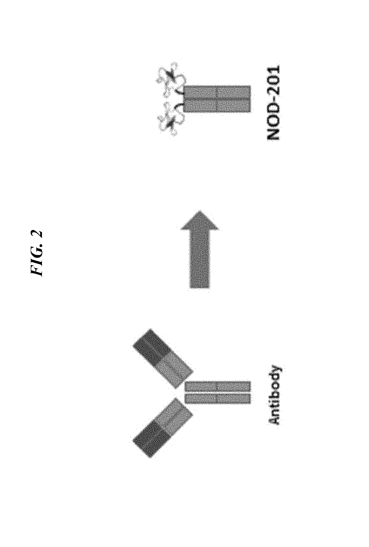 Method of treating cancer with a multiple integrin binding Fc fusion protein