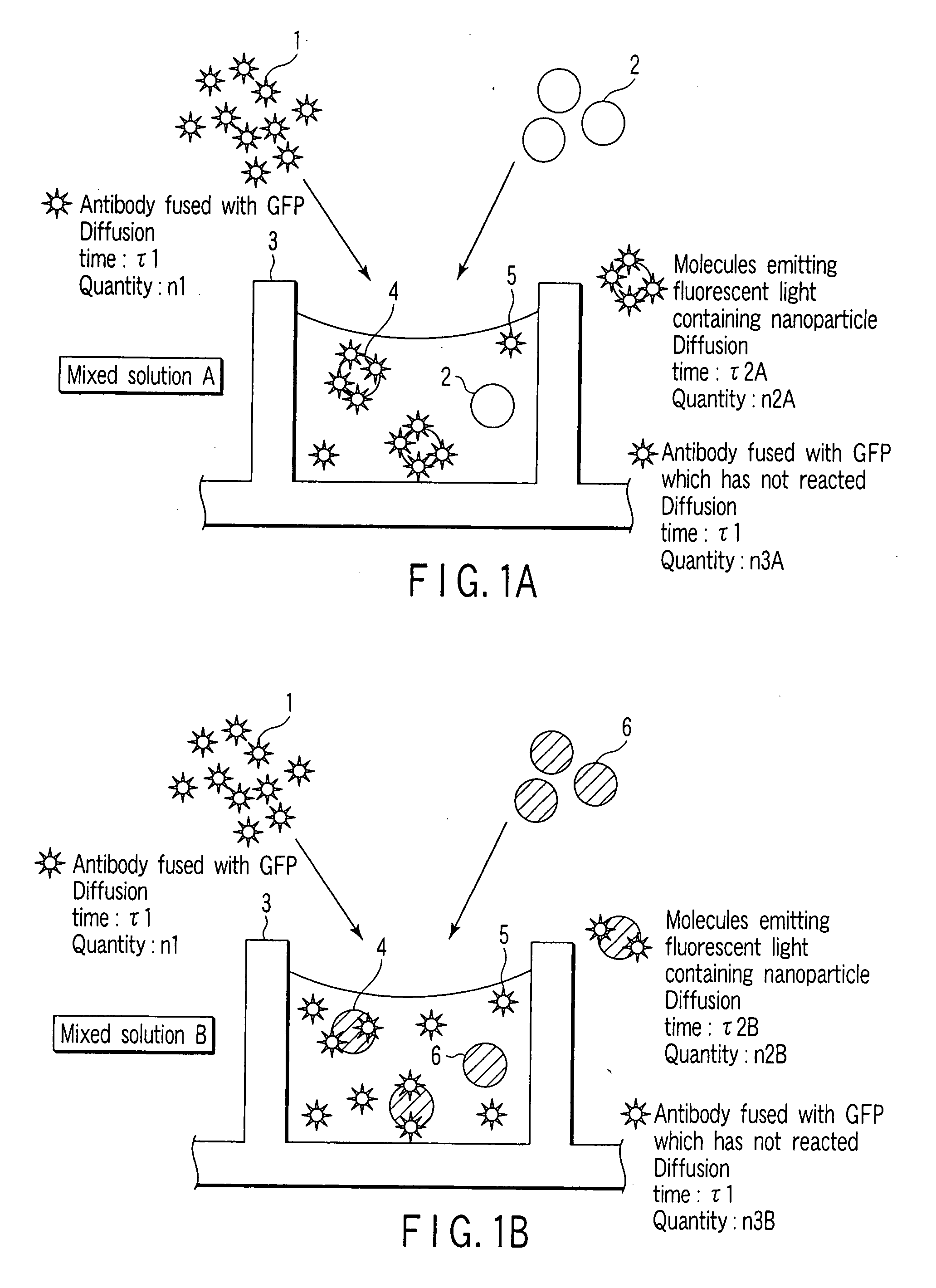 Effective method of function analysis and screening of protein utilizing fluorescent light generated by cell-free protein synthesizing system