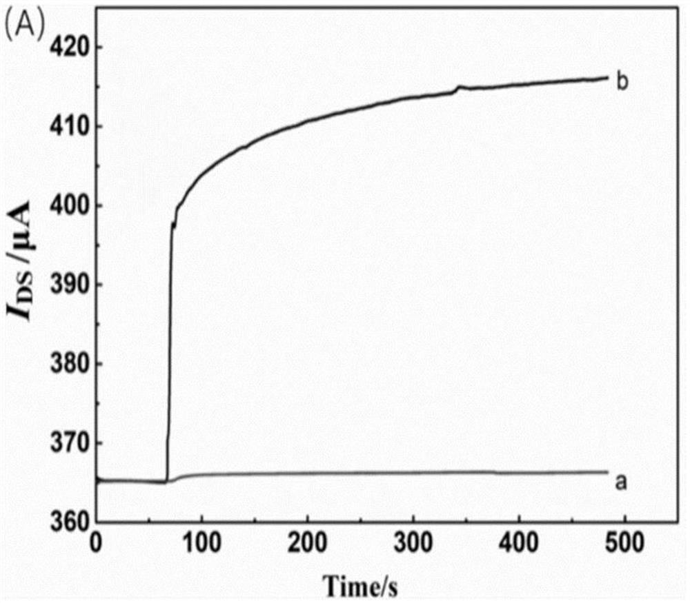 Grate electrode modification method, grate-controlled graphene transistor biosensor and miRNA concentration detection method