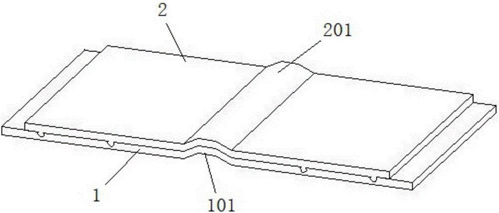 Vehicle carpet fixing structure