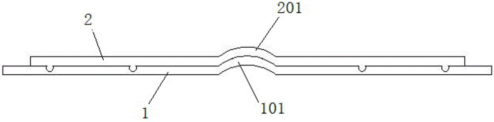 Vehicle carpet fixing structure