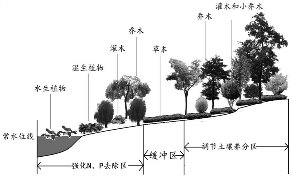 A Method for Allocation of Vegetation Community in Riparian Zone of Northern Mountainous Watershed Conducive to N and P Ecological Regulation