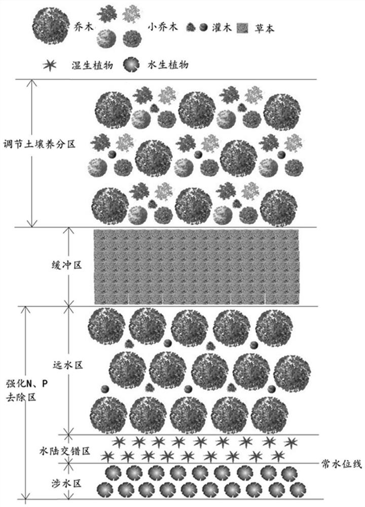 A Method for Allocation of Vegetation Community in Riparian Zone of Northern Mountainous Watershed Conducive to N and P Ecological Regulation