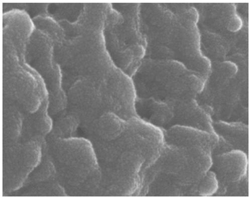 Compound organic matter for stable vanadium removal of crude titanium tetrachloride and preparation method thereof