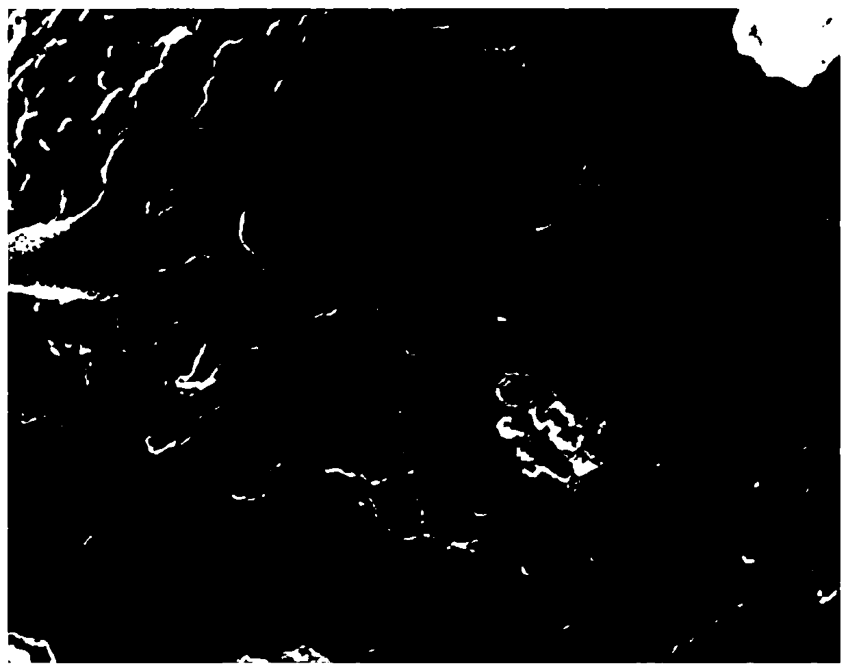 Compound organic matter for stable vanadium removal of crude titanium tetrachloride and preparation method thereof