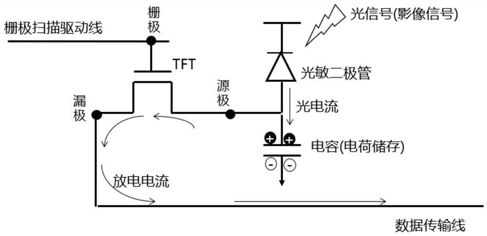 Photodetection film, photodetection device, photodetection device