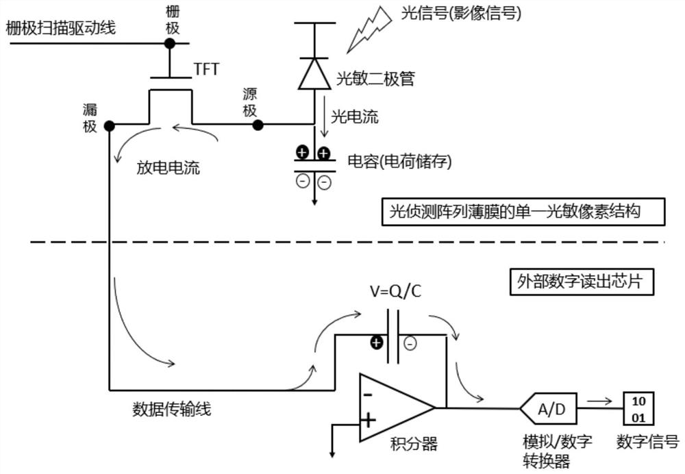 Photodetection film, photodetection device, photodetection device