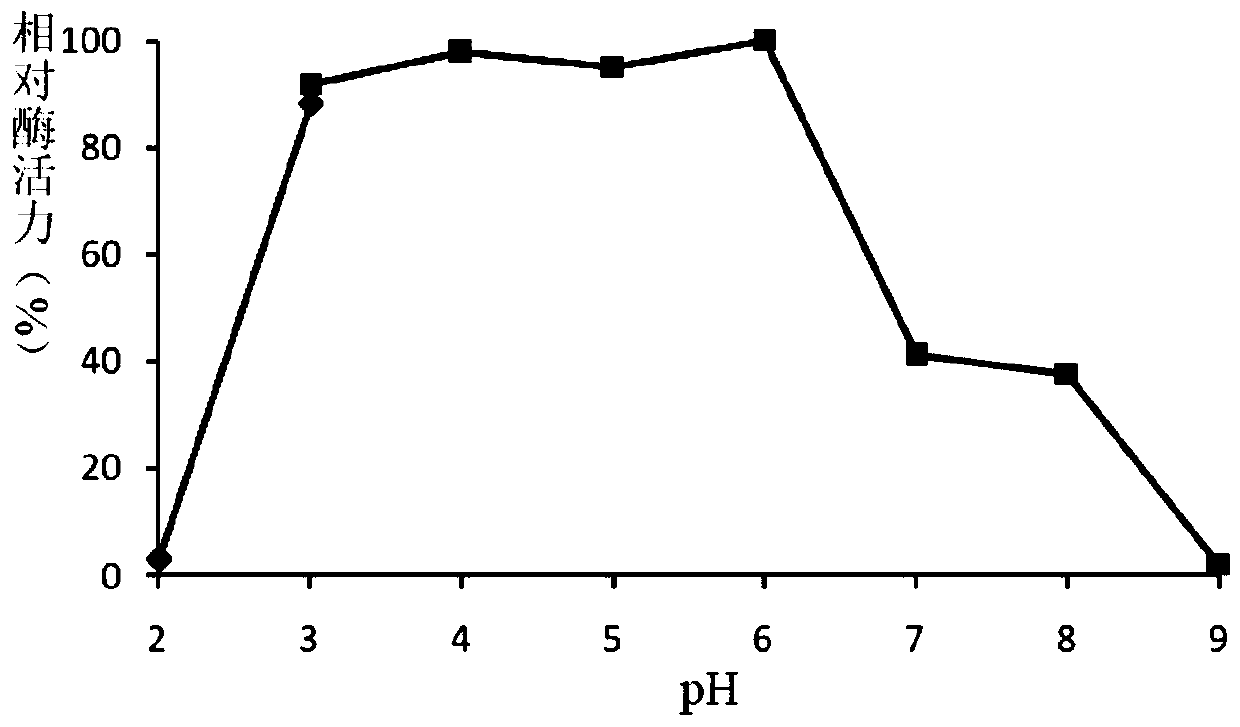 A fungus-derived acid protease g412 and its gene and application