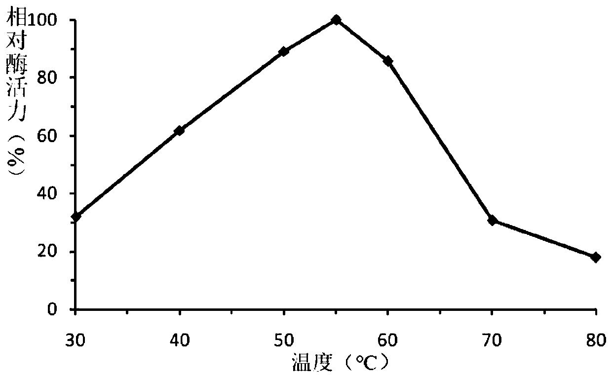 A fungus-derived acid protease g412 and its gene and application