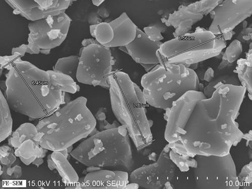 Analysis method for observing shape of powdery sample by scanning electron microscope