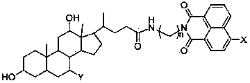 Preparation method of cholic acid-naphthalimide compound