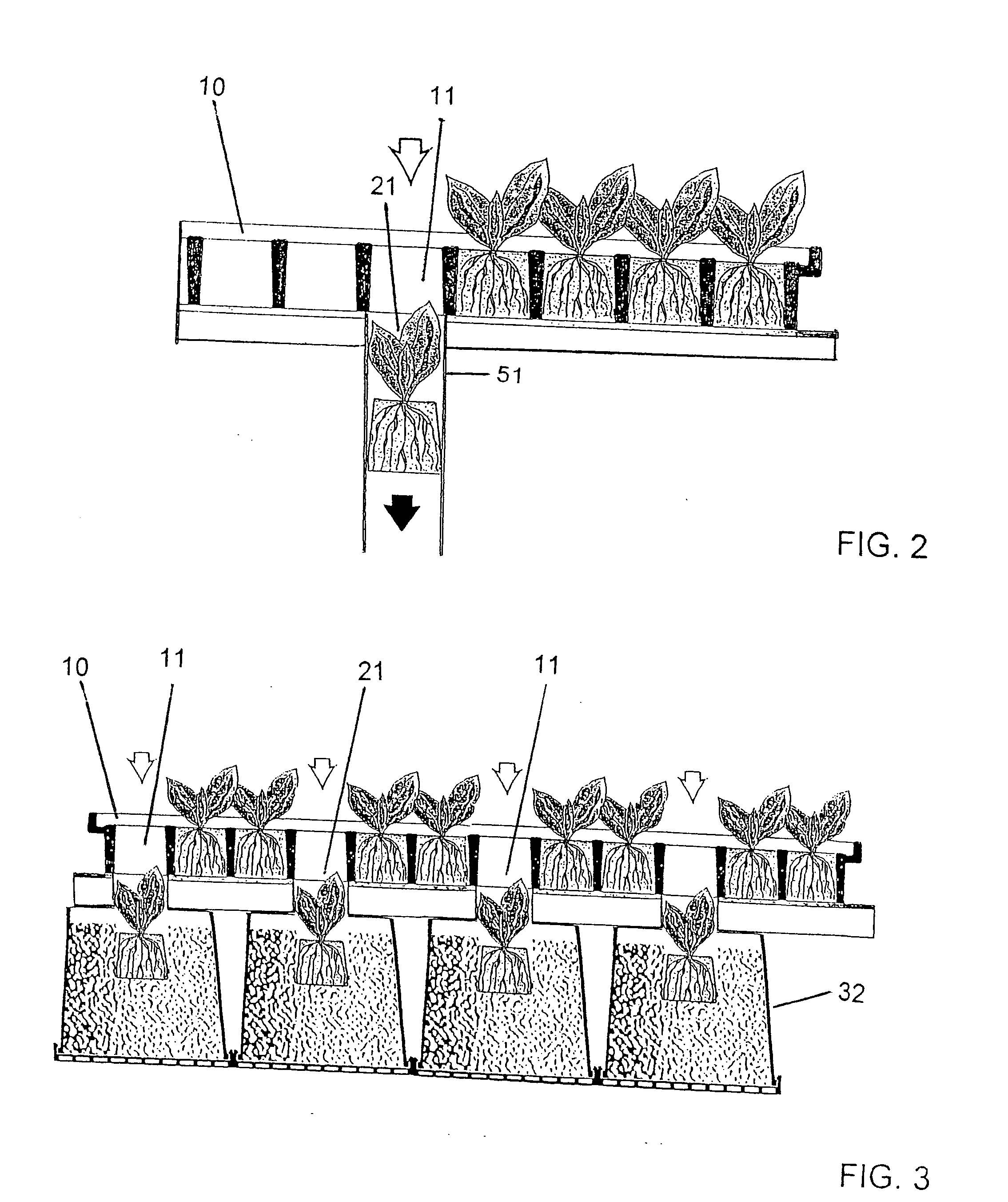 Air-pruning tray/container matrix transfer and transplanting system and methods