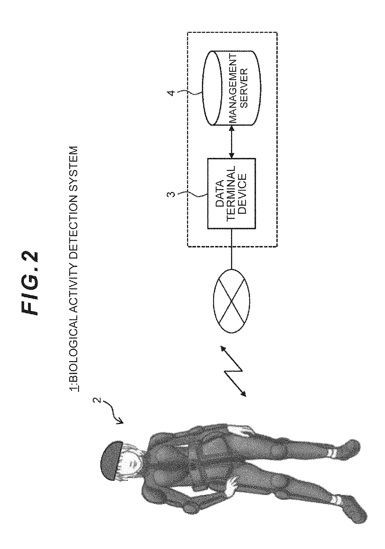 Biological activity detection apparatus and biological activity detection system