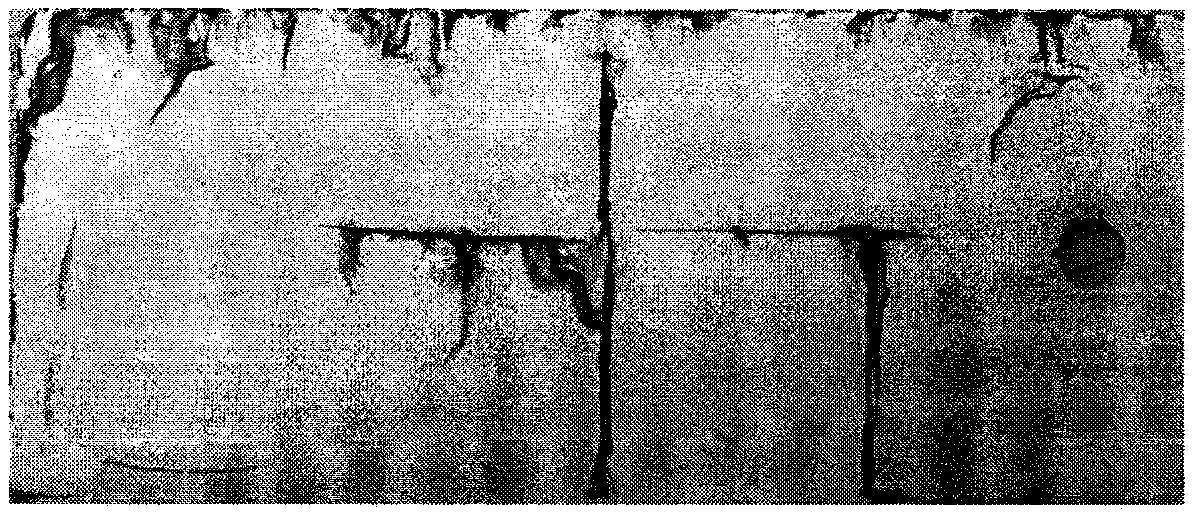 Weather-resistant anti-corrosion polyester powder coating containing glass fiber and clay minerals