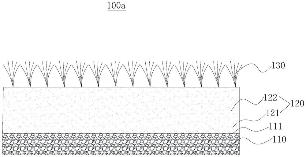 Mixed grass walking lawn and method of making same