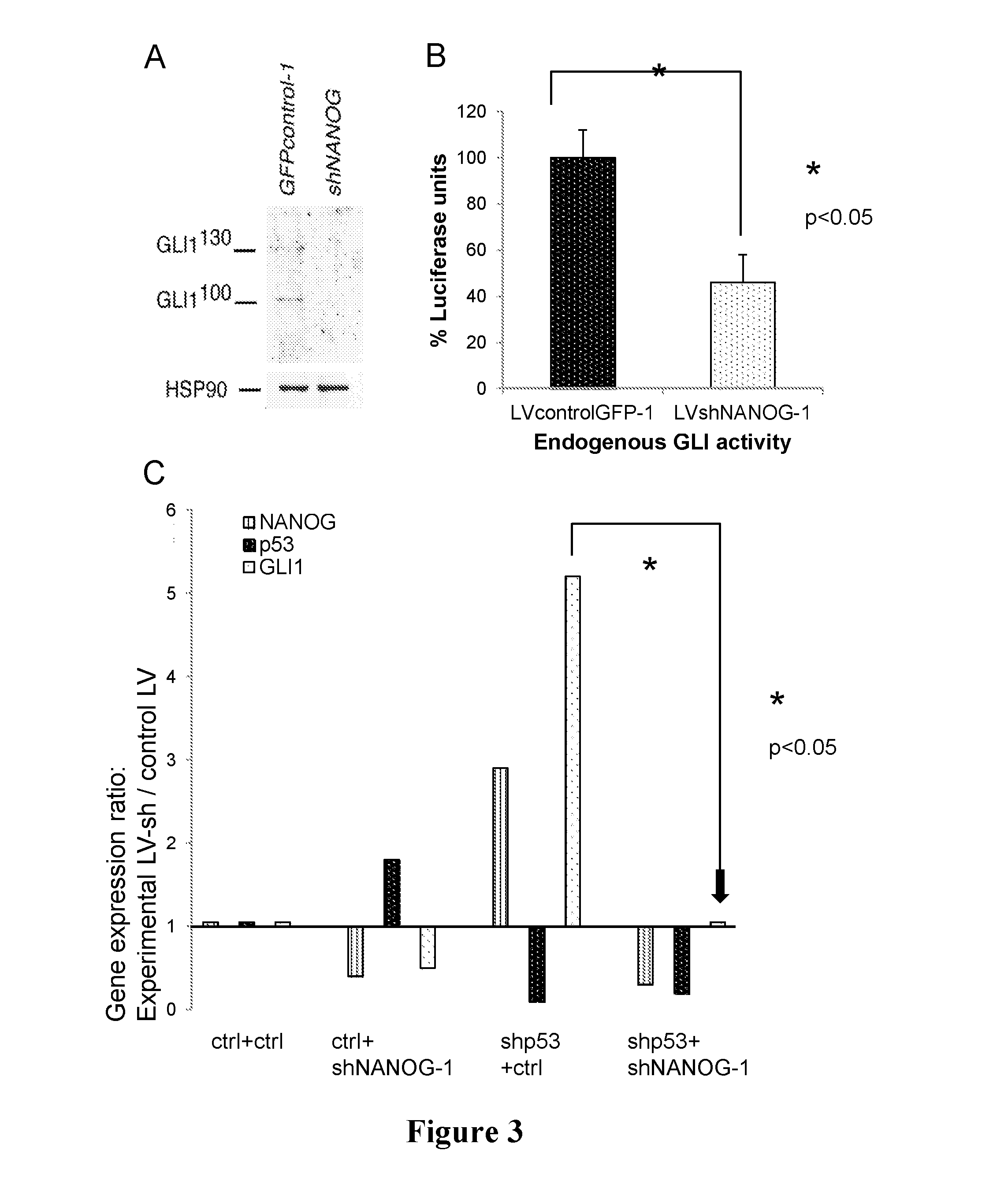 Uses of nanog inhibitors and related methods