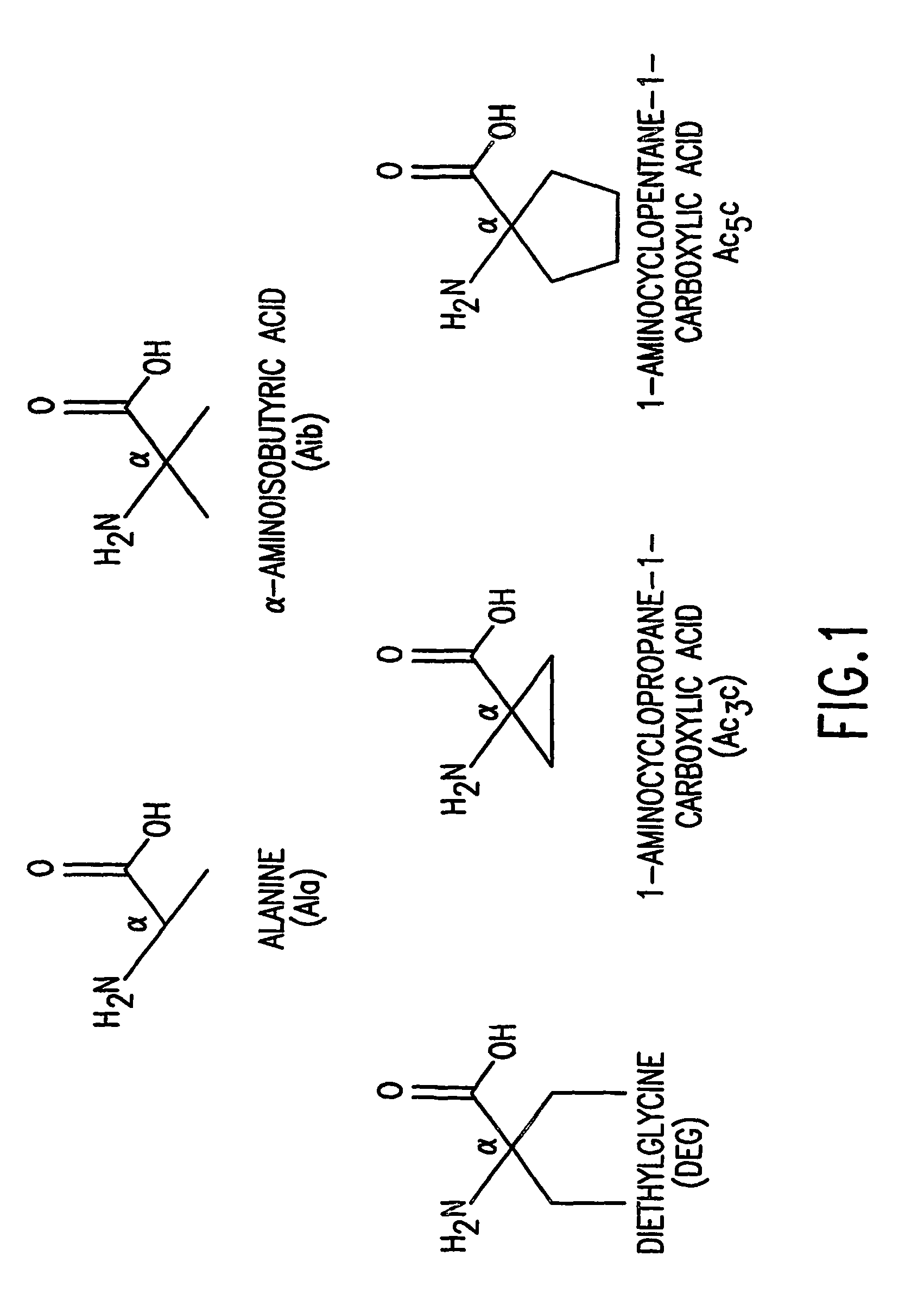 Conformationally constrained parathyroid hormones with alpha-helix stabilizers