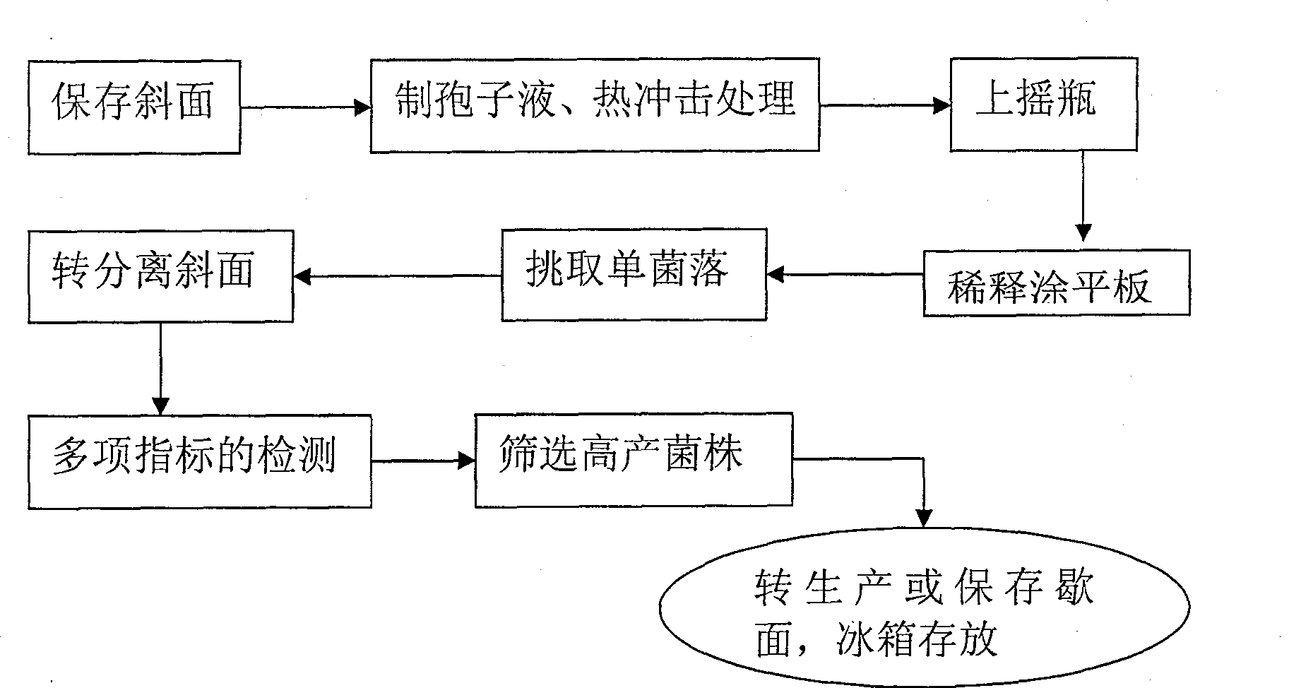 Combined nitrogen fixing phosphorus disintegrating potassium disintegrating micro organism composite fertilizer