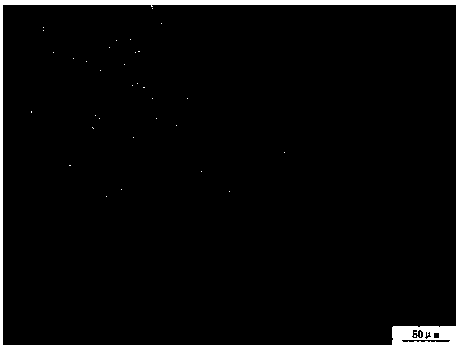 Aluminium alloy extruded section microstructure examination method and electrode used for preparation of metallographic samples