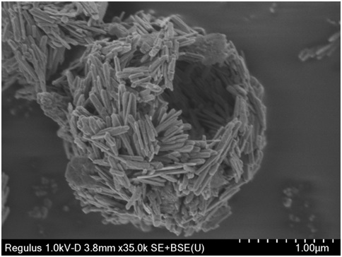 MXene composite modified VO2 positive electrode material for zinc ion battery and preparation method thereof