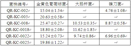 Preparation process of bacteriostatic bacillus subtilis microecological preparation