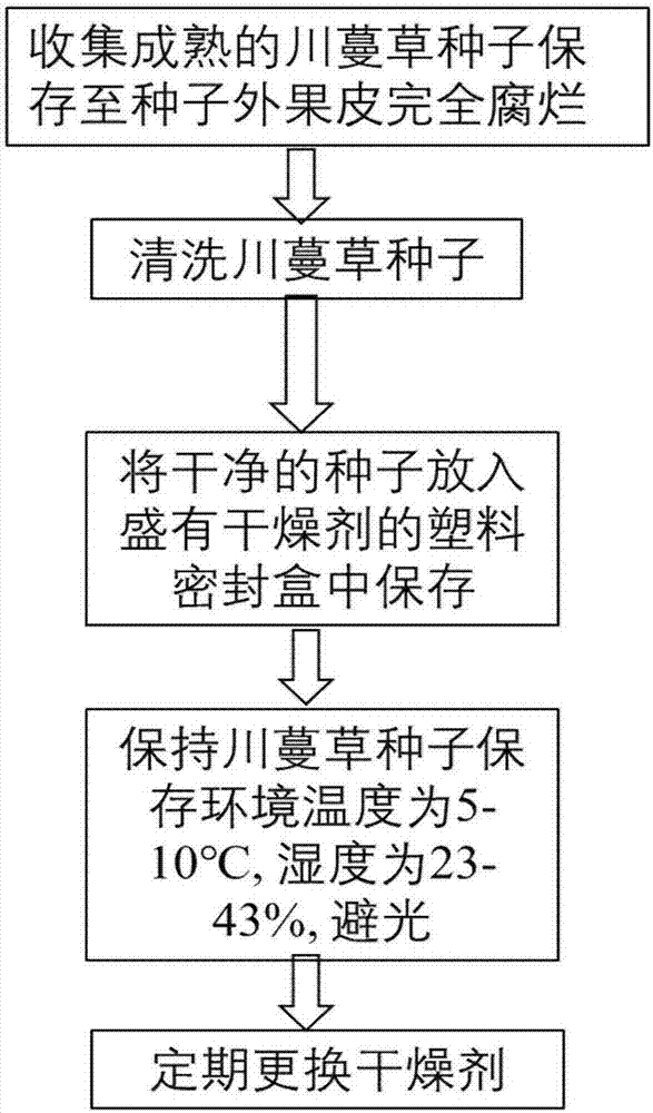 Drying storage method of ruppia maritimaseeds