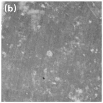 Photoelectrochemical anti-corrosion protection composite photo-anode and preparation method and application of photoelectrochemical anti-corrosion protection composite photo-anode