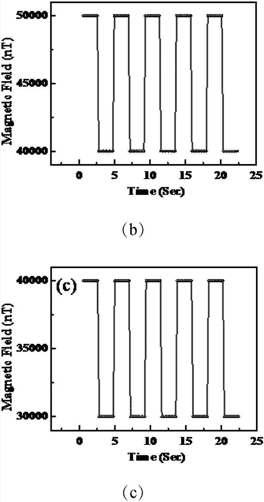 Rubidium atomic magnetometer and magnetic field measuring method thereof