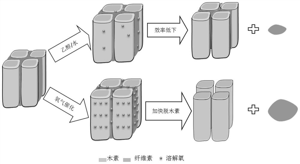 A kind of method and its application of using oxygen to catalyze ethanol to prepare nanometer lignin