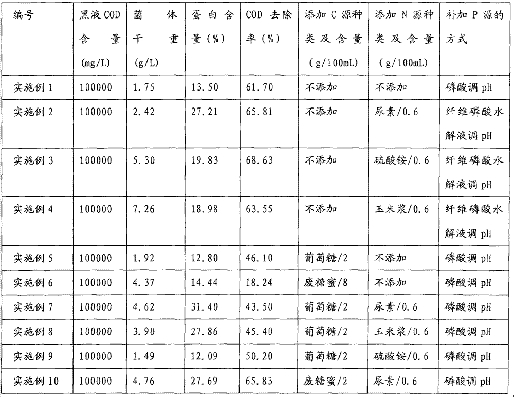 Method for producing single-cell protein by using pulping waste liquor