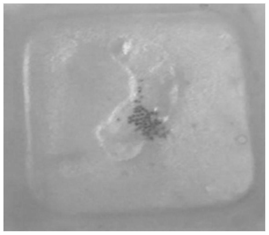 3D cell microsphere paraffin sectioning method