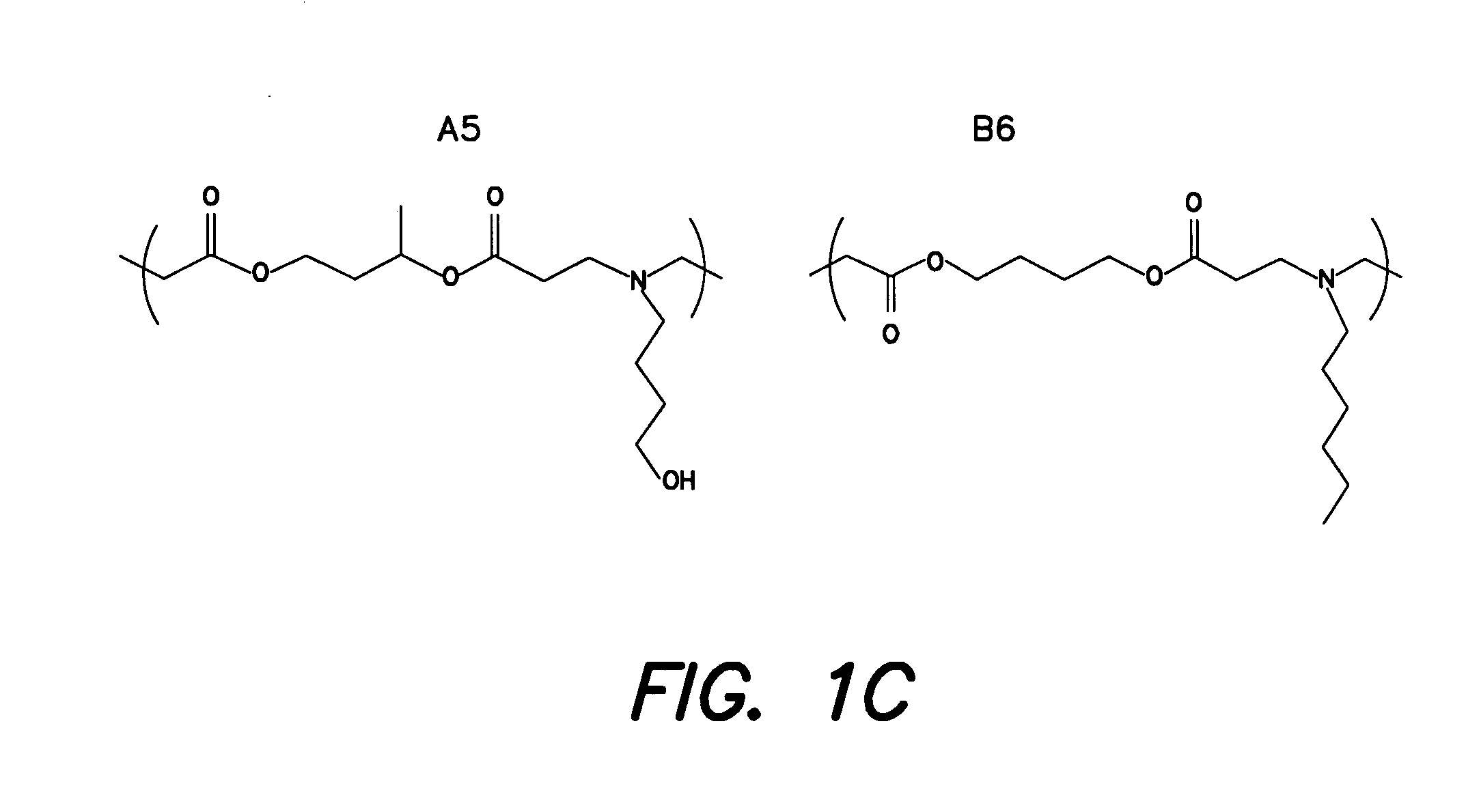 Methods and products related to the intracellular delivery of polysaccharides