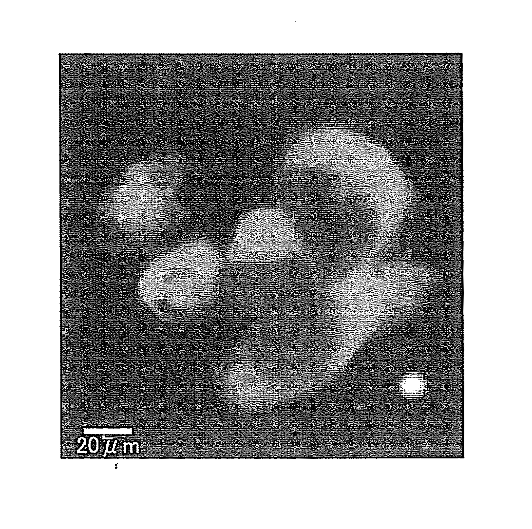 Artificial peptide and use thereof