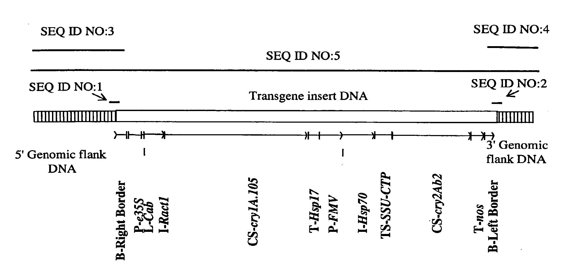 Corn Plant and Seed Corresponding to Transgenic Event MON89034 and Methods For Detection and Use Thereof