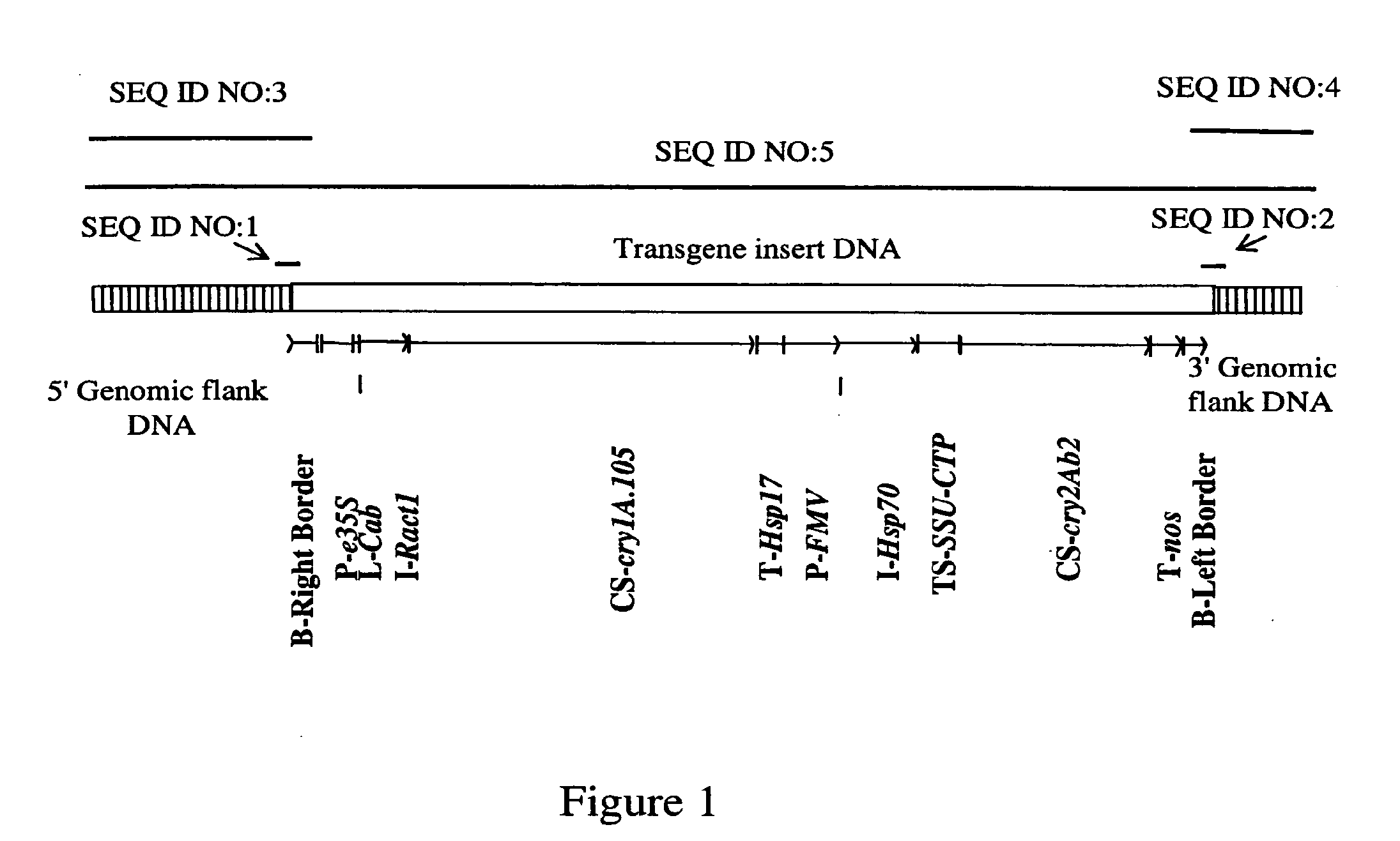 Corn Plant and Seed Corresponding to Transgenic Event MON89034 and Methods For Detection and Use Thereof